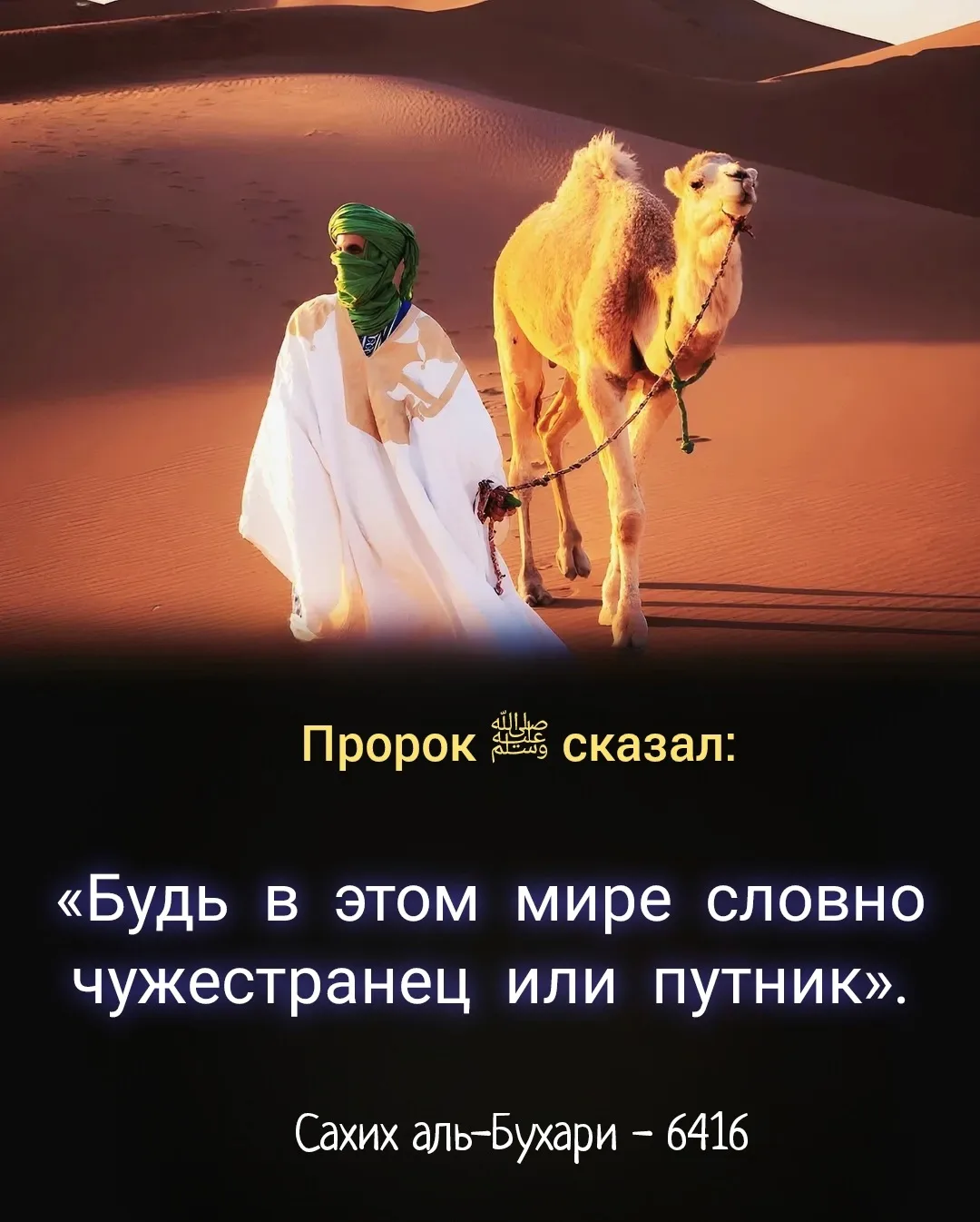 От ‘Абдуллах ибн ‘Умар, да будет доволен Аллах им и его отцом, передаётся, что он сказа...