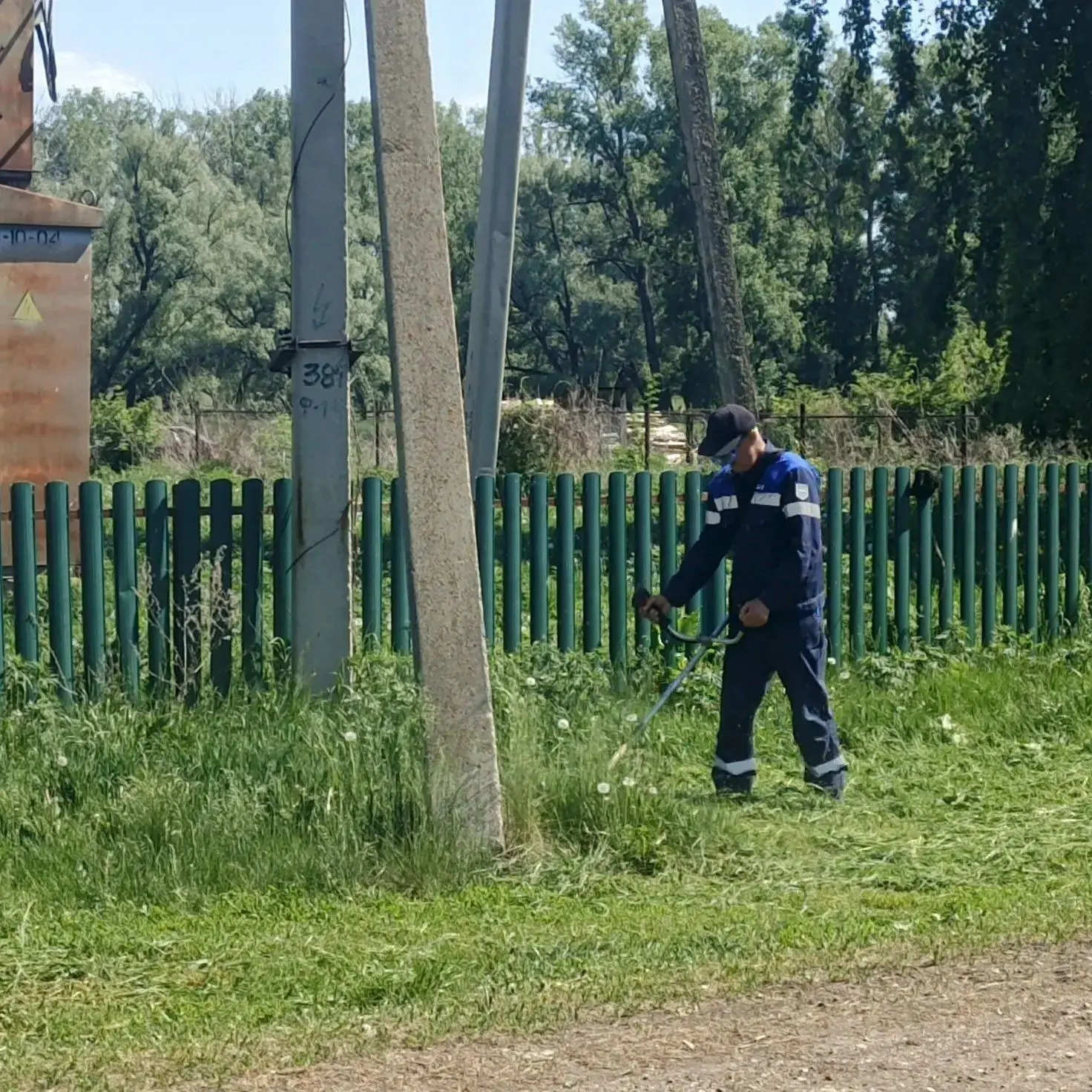 В связи с установившейся жаркой погодой наблюдается активный рост растительности. Для п...