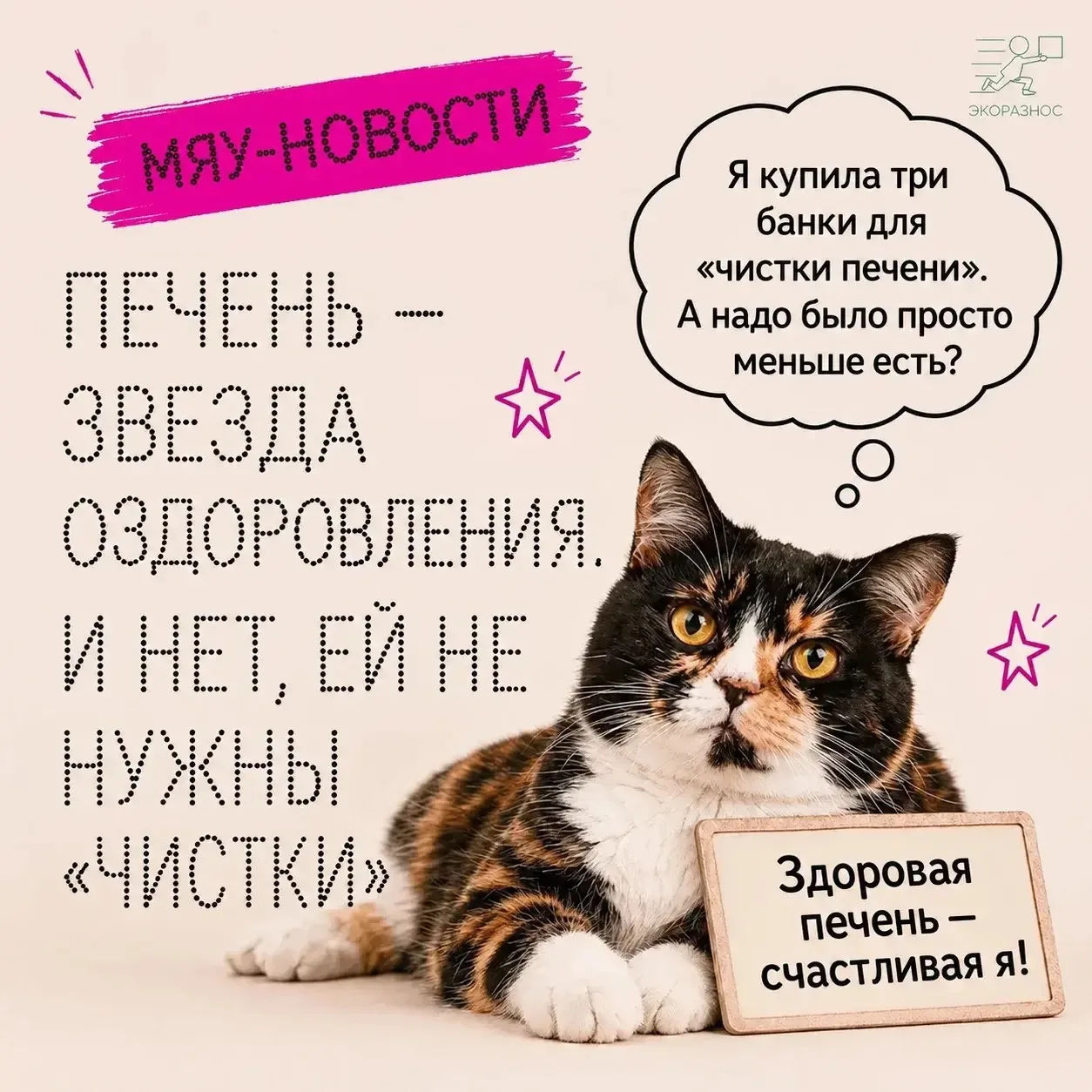 Печень — звезда оздоровления. И нет, ей не нужны «чистки»