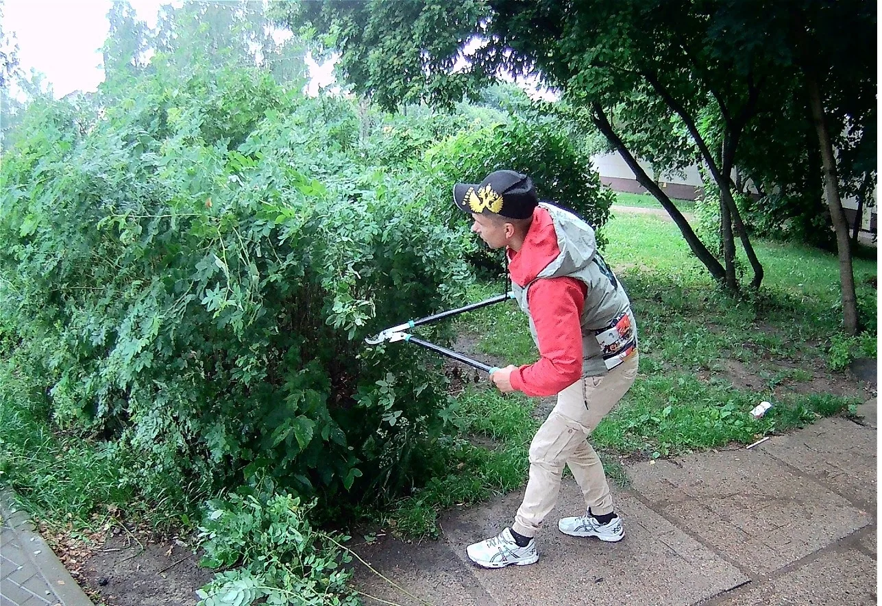 🌳 Плановая обрезка зелёных насаждений
 
На этой неделе наши сотрудники с секаторами в руках приводи