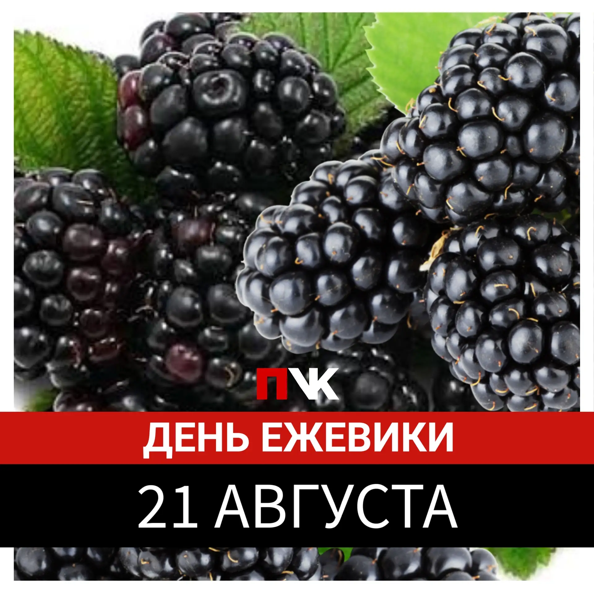 Доброе утро! Погода на сегодня: +16...+20 °С, пасмурно, сильный дождь, гроза ⛈