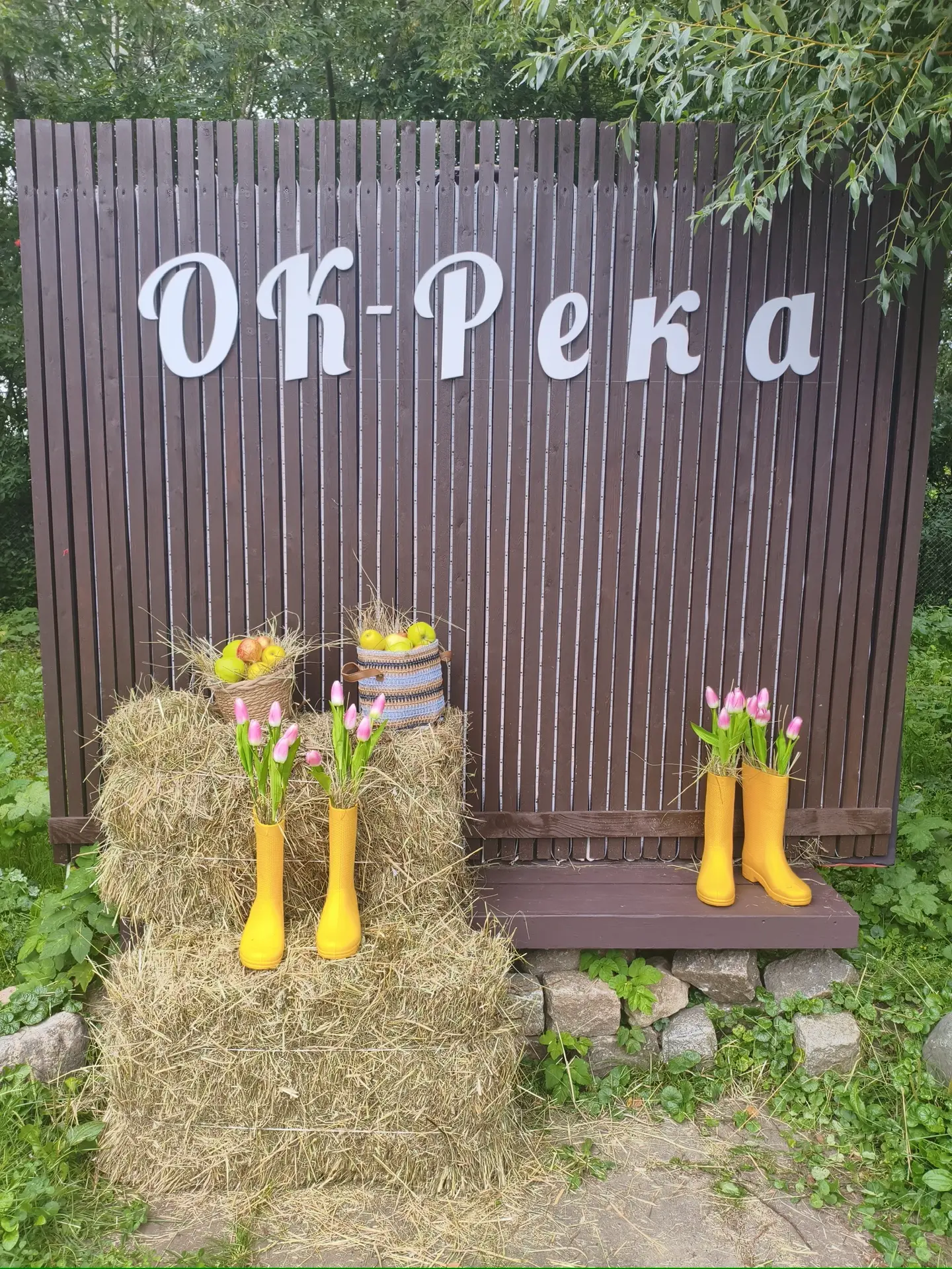 🌿 Хорошие новости из ОК-РЕКА!