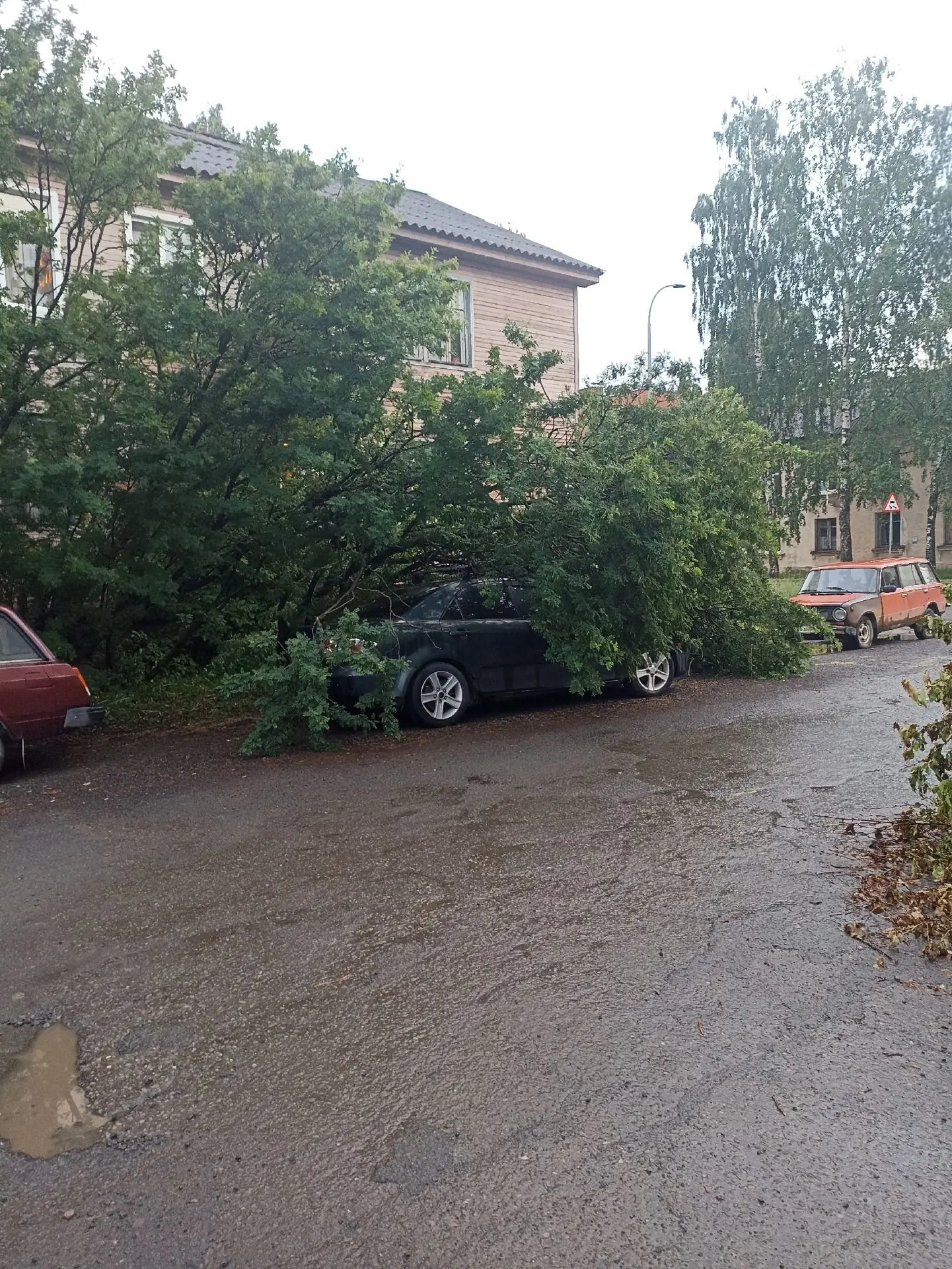 Мурманская, 21 Пару часов назад упало дерево на Мазду. (Вдруг пригодится хозяину) А нес...