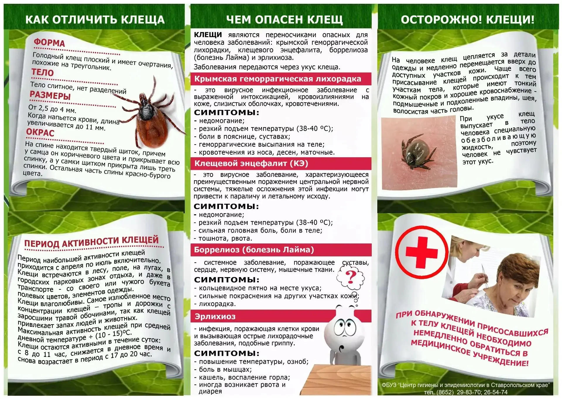 ☀️🌲 Лето в разгаре и зовёт на природу! А мы просим быть осторожными: сезон клещей открыт

С мая по 