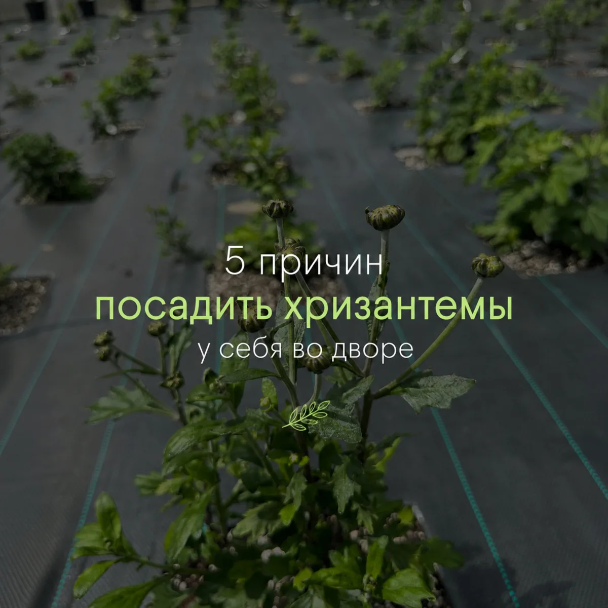 Знаете это чувство, когда вы уже посмотрели очень классный фильм и даже немного завидуе...