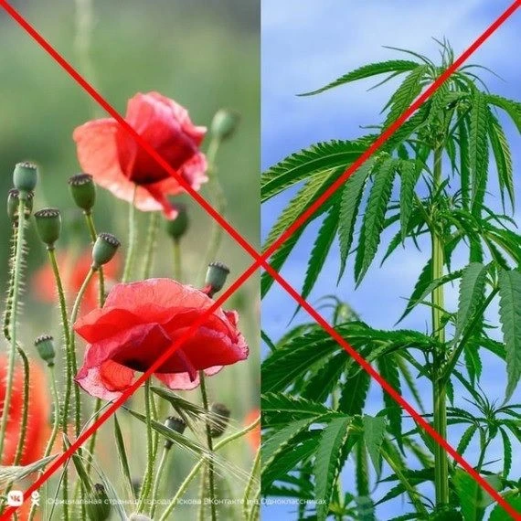Уважаемые граждане!