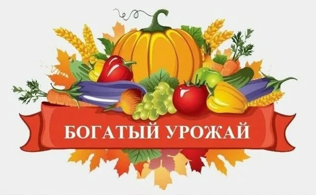🌟 В МБОУ СШ с. Таремское прошла традиционная акция по сбору урожая для пенсионеров Пав...