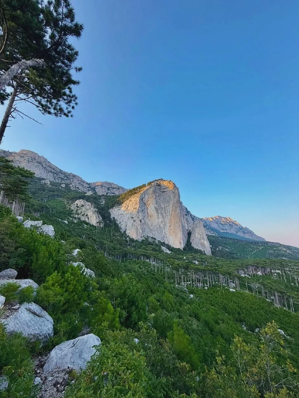 🏞️ Гора Шаан-Кая — Соколиная гора над Алупкой