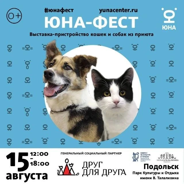 15 августа - Международный день бездомных животных.