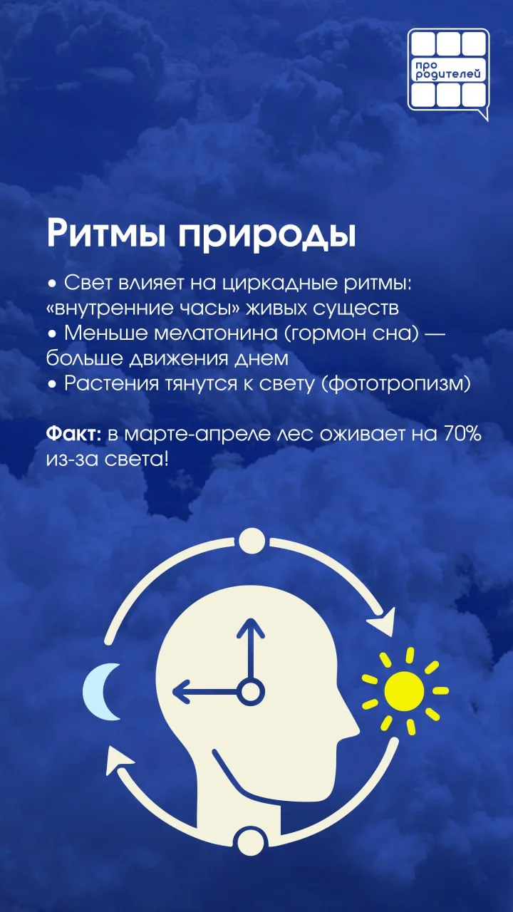 🌅 Знаете ли вы, почему весной дни удлиняются?    🌎 Весна приносит не только тепло, но и увеличение с