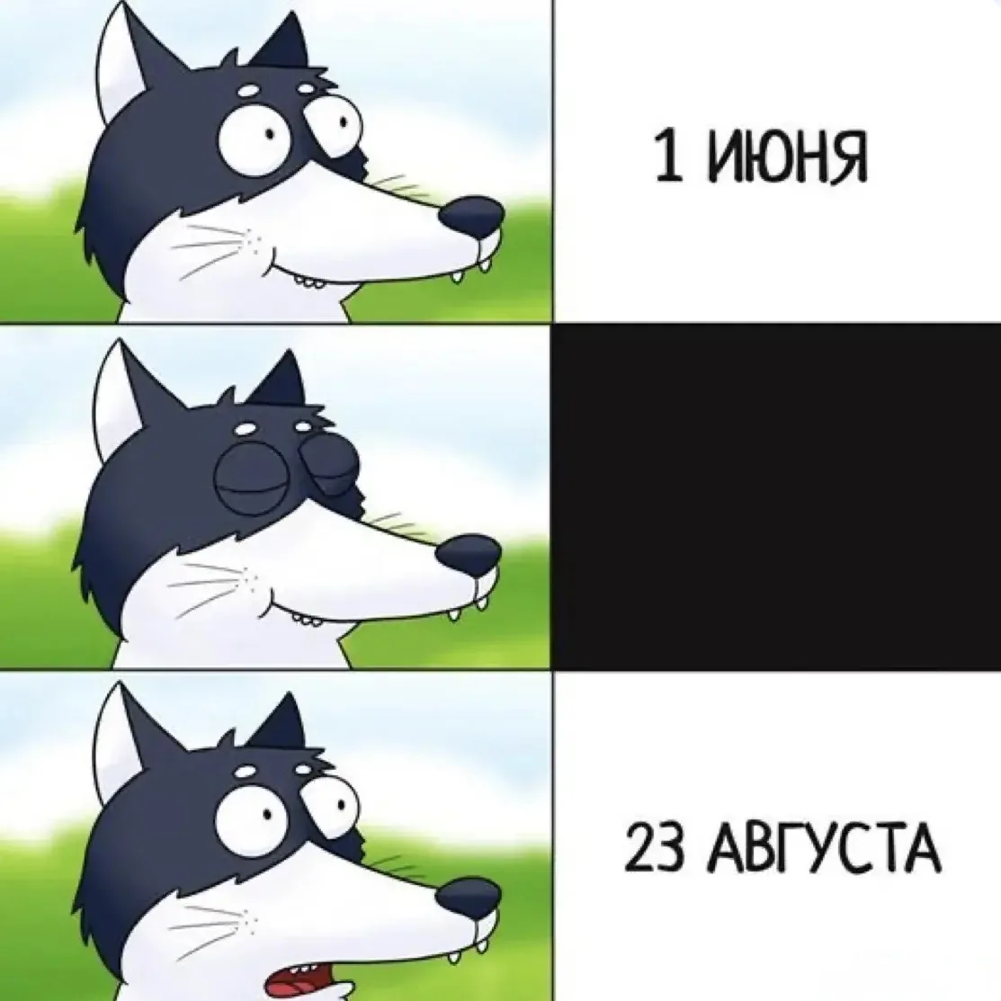 Ой, у кого так же лето пролетело?