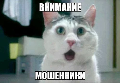 Назвала пароль “Яблоко” и отдала 600 тысяч рублей: пенсионерка из Стерлитамака попалась на уловку аф