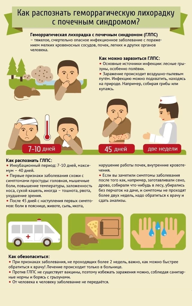 ⚠️ Это не простуда. Это убивает почки.
