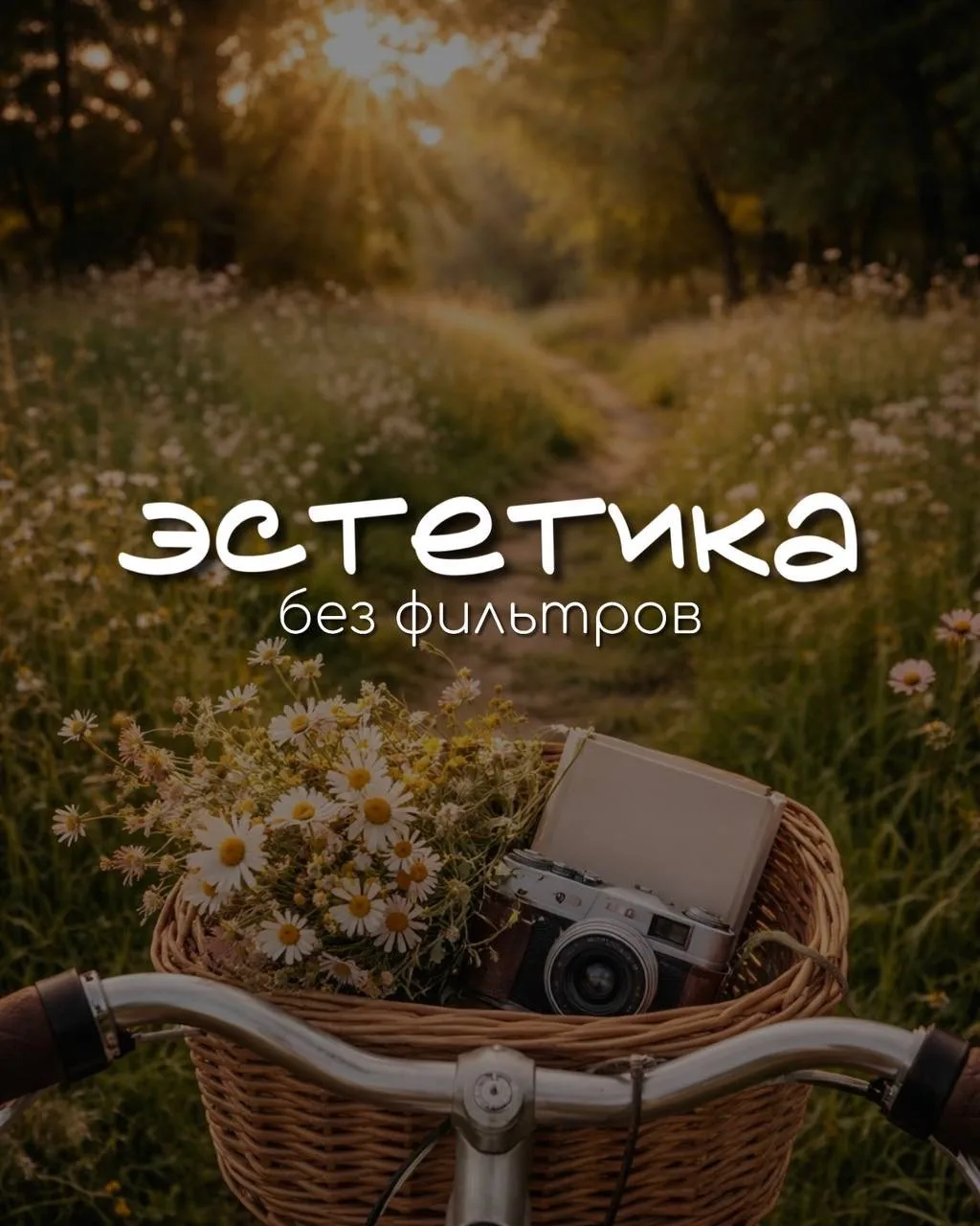 Счастье в мелочах✨

#фразы
Еще больше контента => [контакт скрыт]
Канал: @visualtop

Благодарю за ре