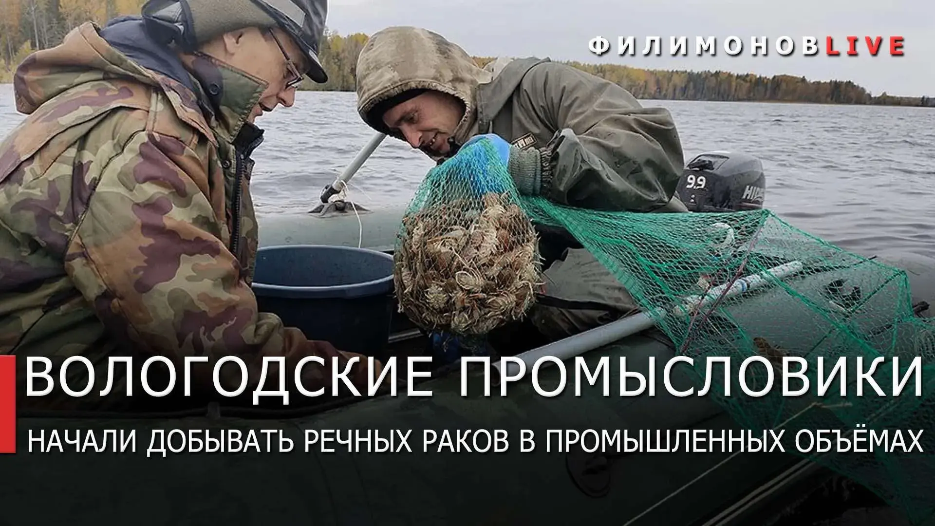 Промышленный вылов речных раков впервые начали на Вологодчине.