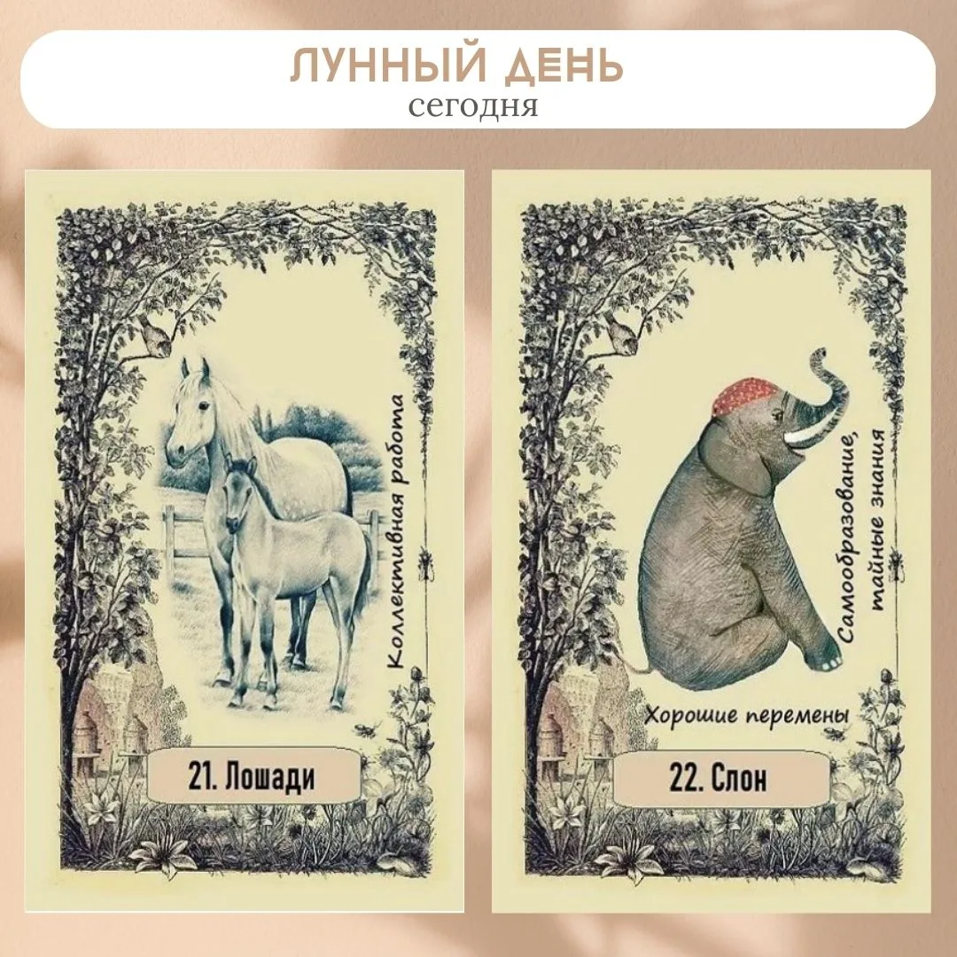 Сегодня 2 октября 2026, 21-22 лунный день.