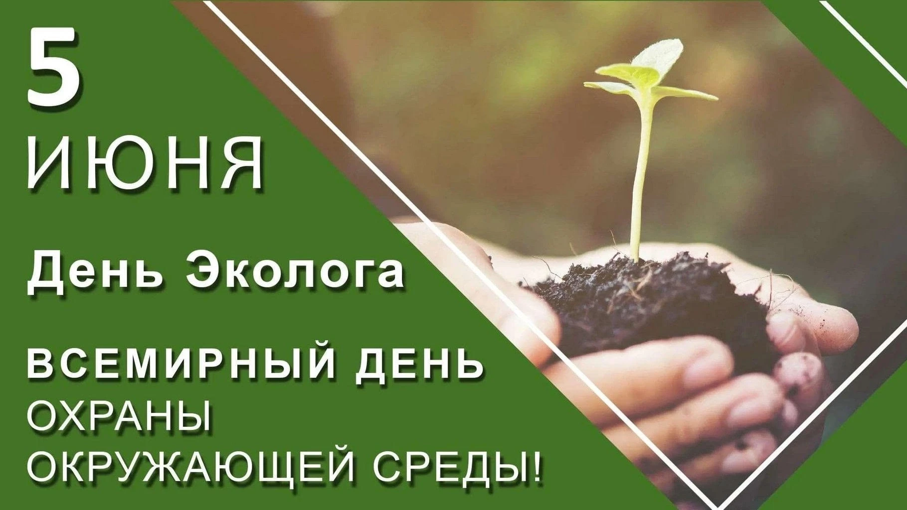 🌿 5 июня — Всемирный день эколога!

В честь этого важного дня ребята вместе с советником провели эк