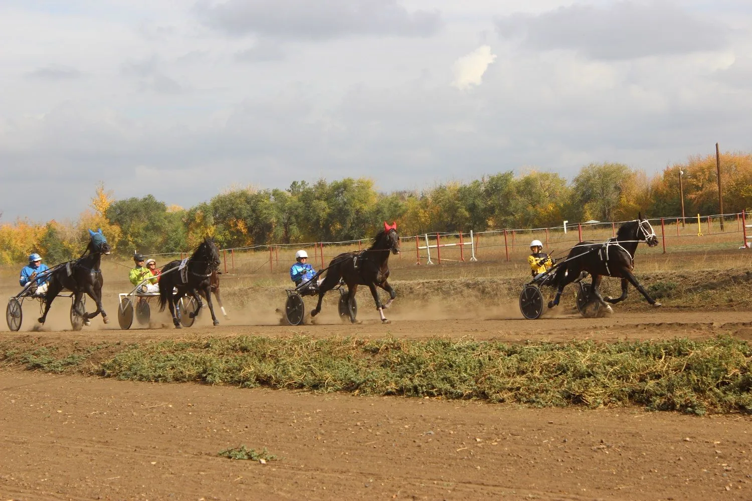 🏇3 октября встречаемся на Оренбургском ипподроме