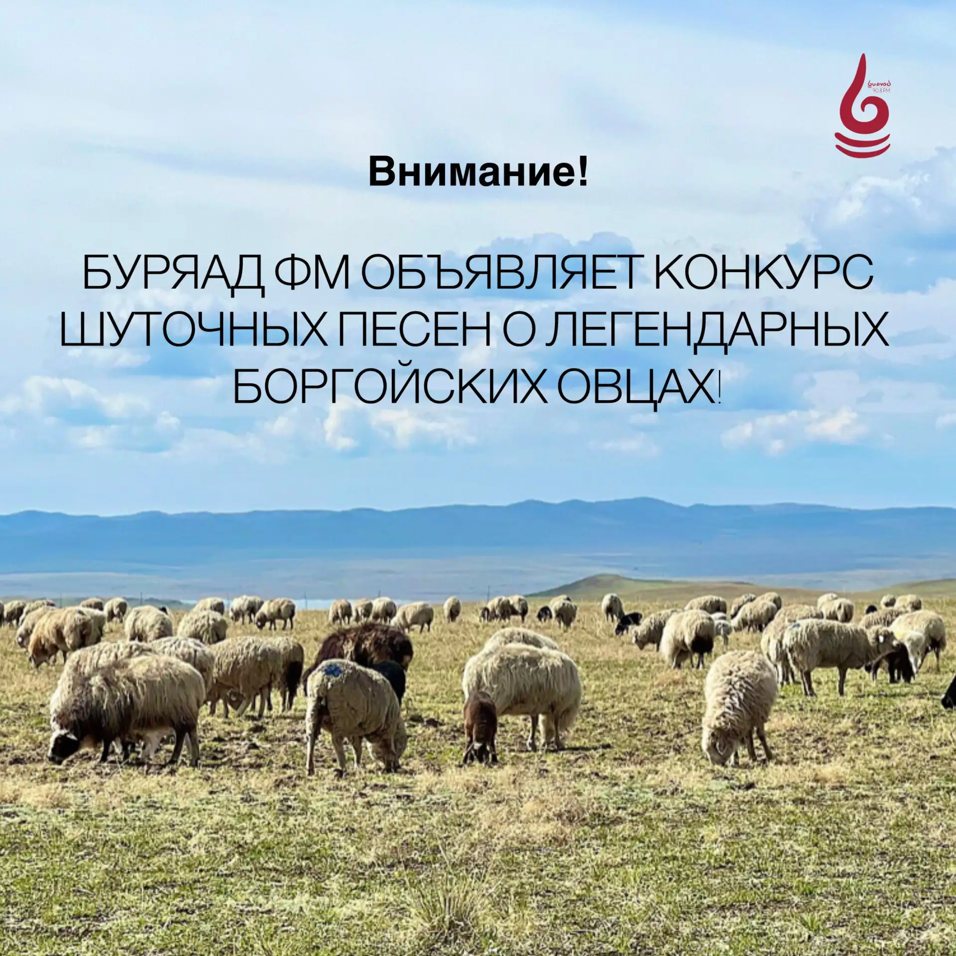 🎤🐏 ВНИМАНИЕ! БУРЯАД ФМ ОБЪЯВЛЯЕТ КОНКУРС ШУТОЧНЫХ ПЕСЕН О ЛЕГЕНДАРНЫХ БОРГОЙСКИХ ОВЦАХ!