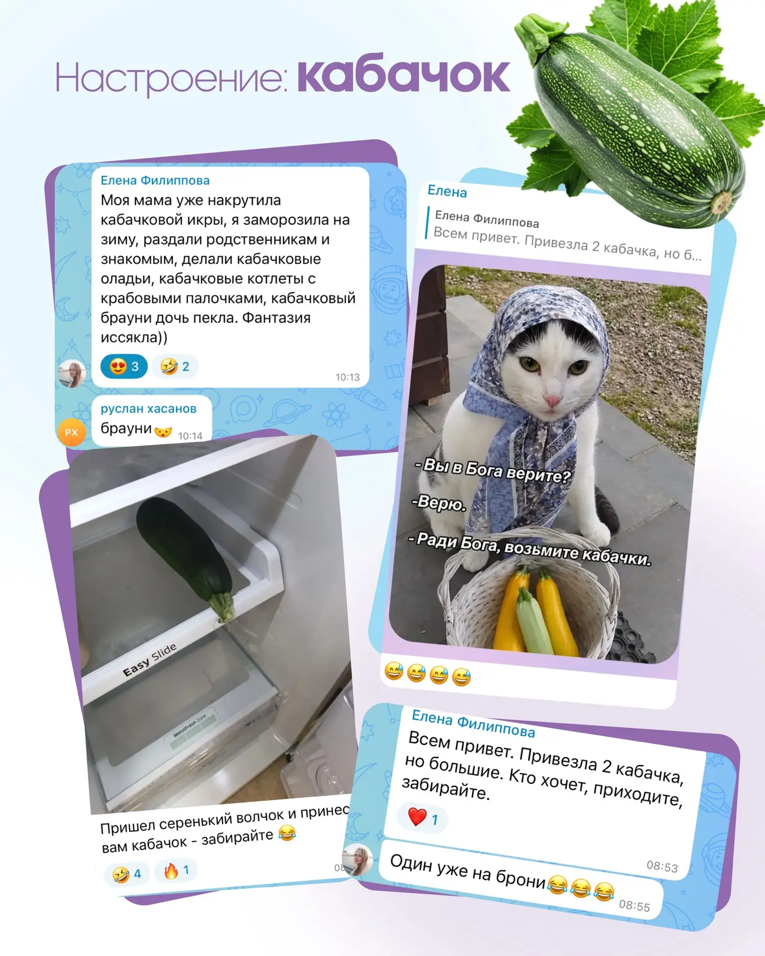 Интересный факт: один кабачок за месяц способен сменить до 8 хозяев!