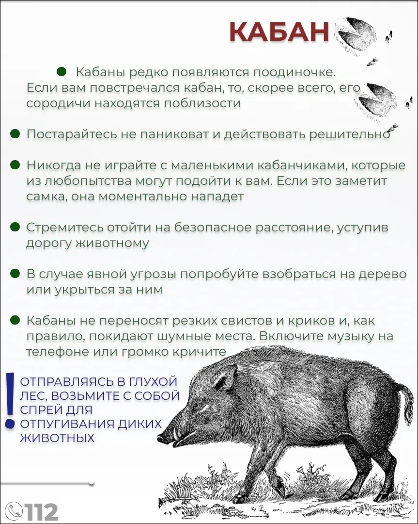 Изображение 3 к публикации «Кириши-Онлайн»