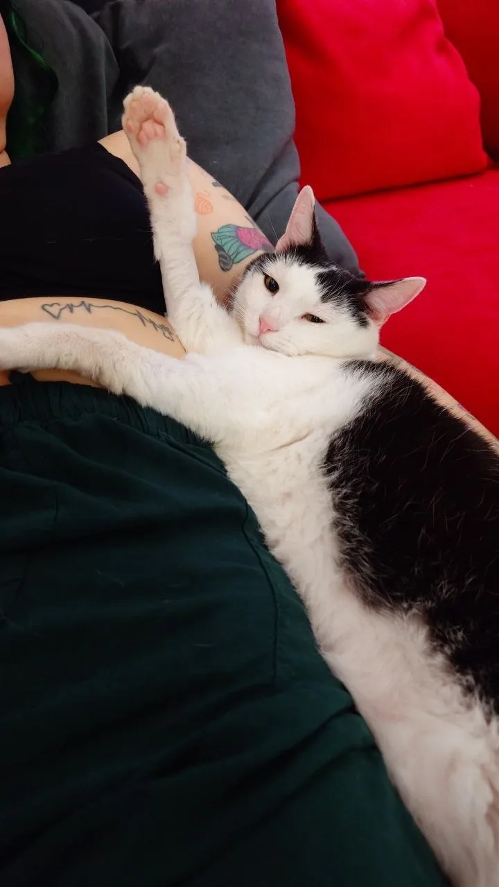 Такой Степка, конечно, мамулин пирожок 🐱