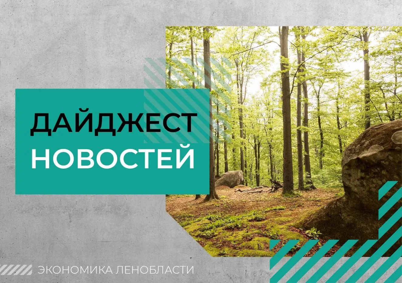 ⚡ Дайджест новостей Ленобласти

Александр Дрозденко провел совещание по деятельности Научно-техничес