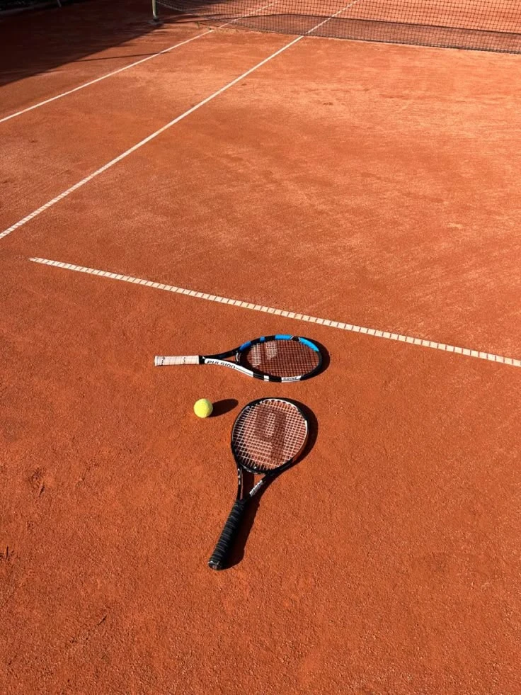Игра в жизнь 🎾