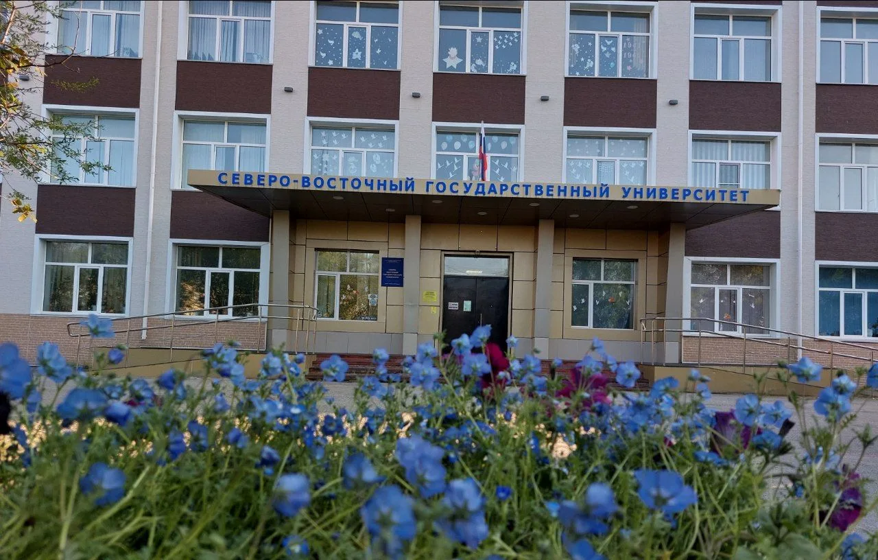 Добрый вечер, университет!