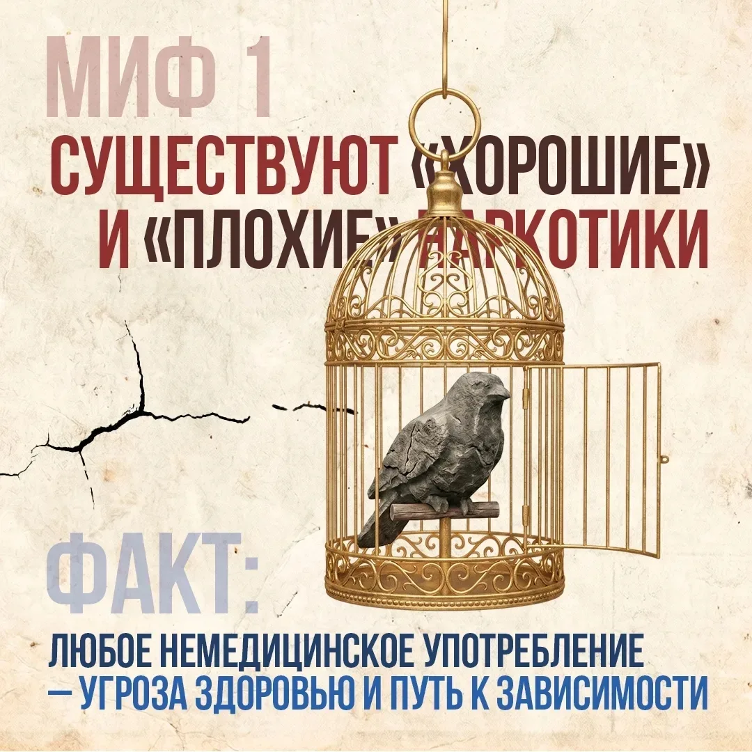 Что скрывается за мифами о наркотиках 💭