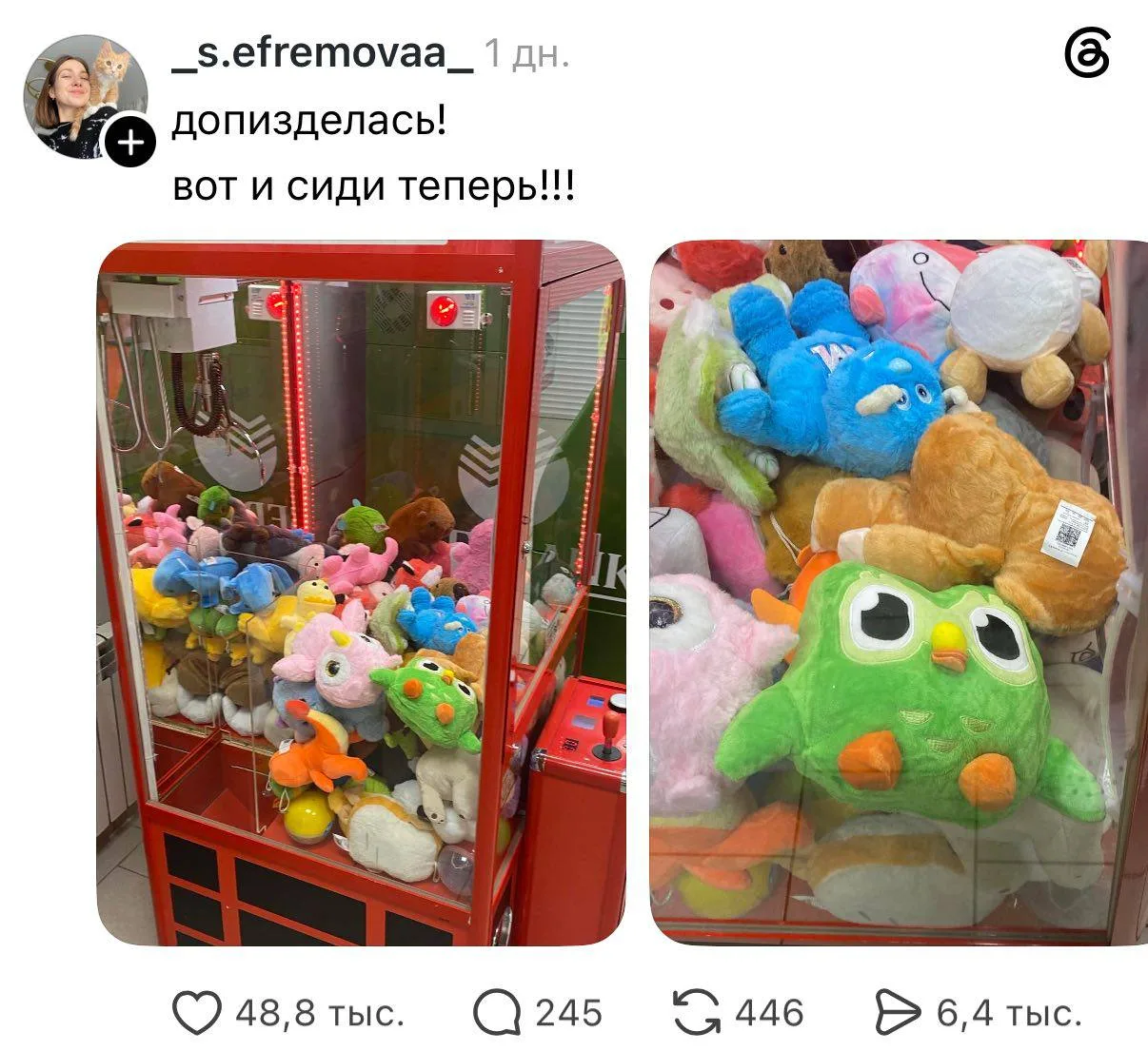 Шок: сова Дуо заперта сама!