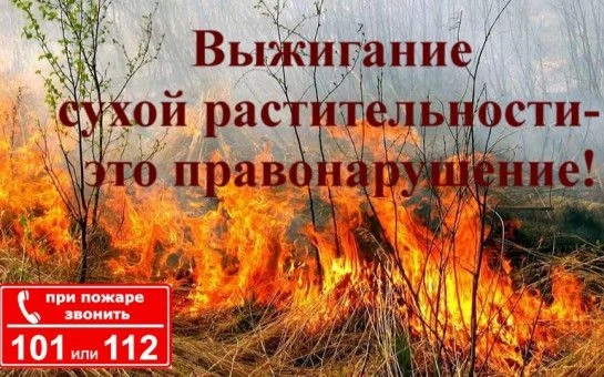 ВНИМАНИЕ! На территории Ульчского  района продолжает действовать  "ОСОБЫЙ ПРОТИВОПОЖАРНЫЙ РЕЖИМ"

🚨