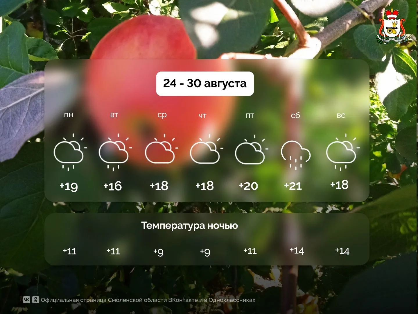 🍂 «Успей поймать уходящее лето: погода на 24–30 августа 🍎☀️»