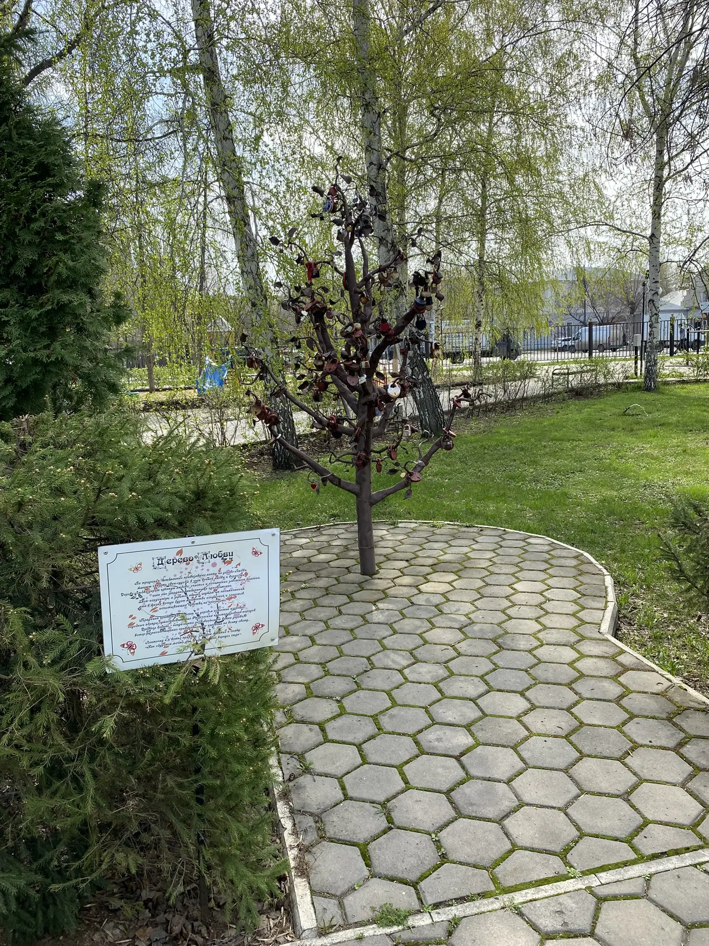 🌳 Итоги опроса: Аллее Первых Учителей — быть!  Дорогие родители, мы подвели итоги нашего голосования