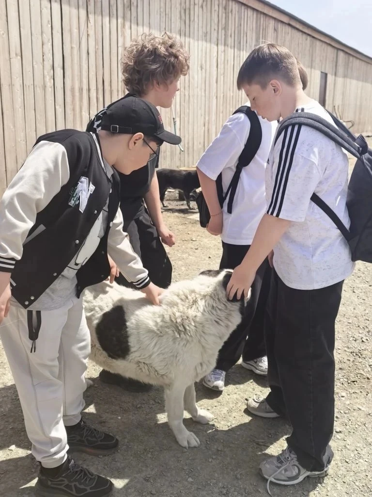 🐾 6-А класса посетили приют для бездомных животных «Пёс и кот» 🐶🐱  🏠🐕 В преддверии каникул ученики 6