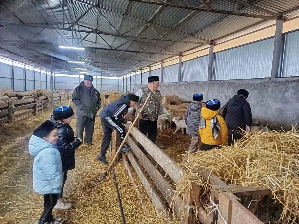 ЮНЫЕ КАЗАЧАТА НОВОСЕЛИЦКОГО МО ИЗУЧАЮТ ЖИВОТНОВОДСТВО НА ПРАКТИКЕ