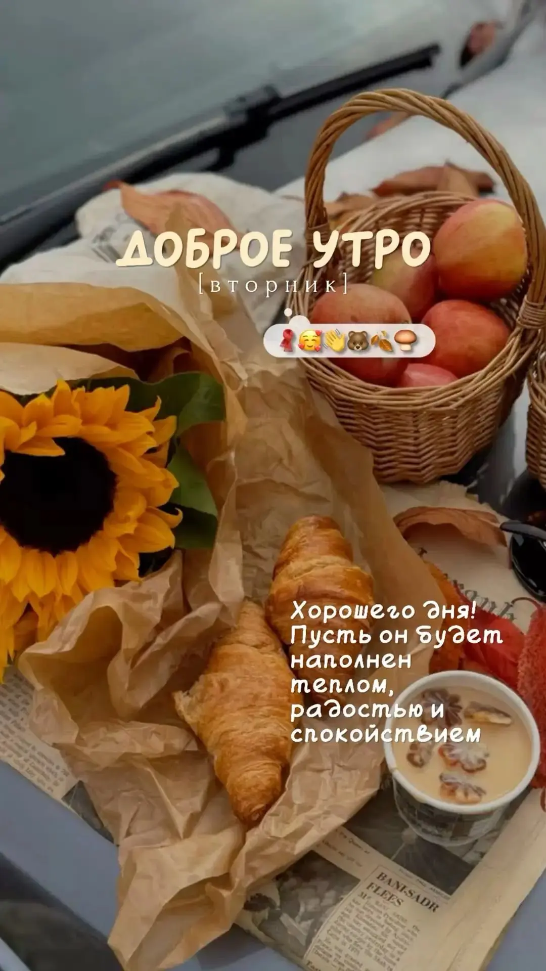 Всем большущий привет 🍁