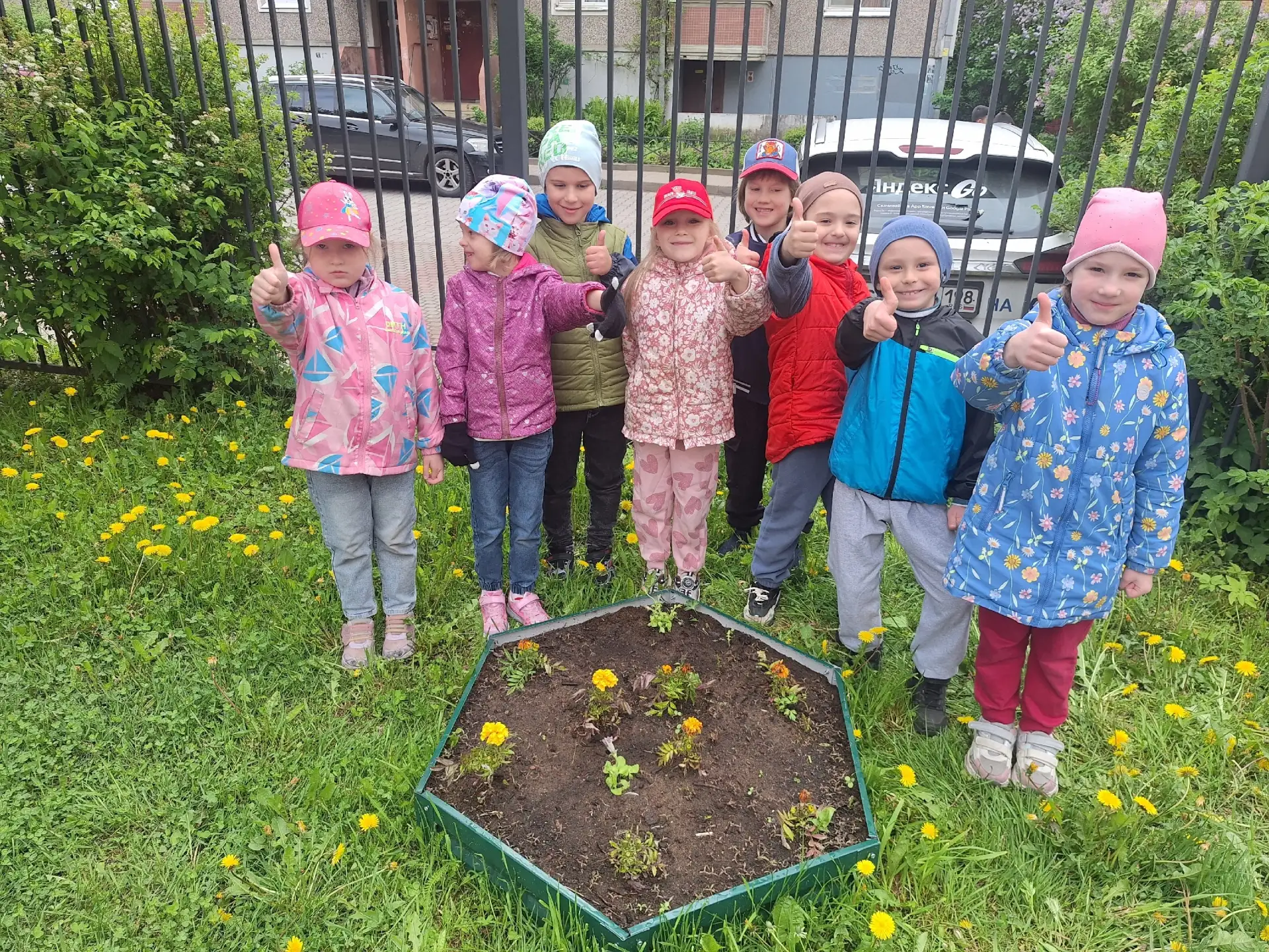 🌼 Цветы России 🌼