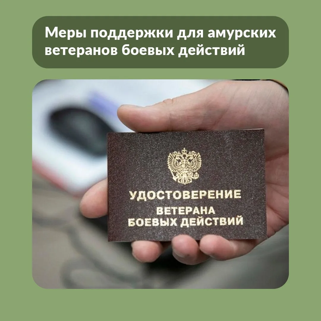 Государство поддерживает ветеранов боевых действий. В Амурской области для этой категор...