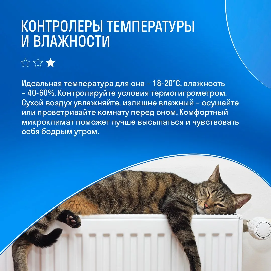 Сон – это настоящая перезагрузка организма, во время которой тело восстанавливает силы, мозг обрабат