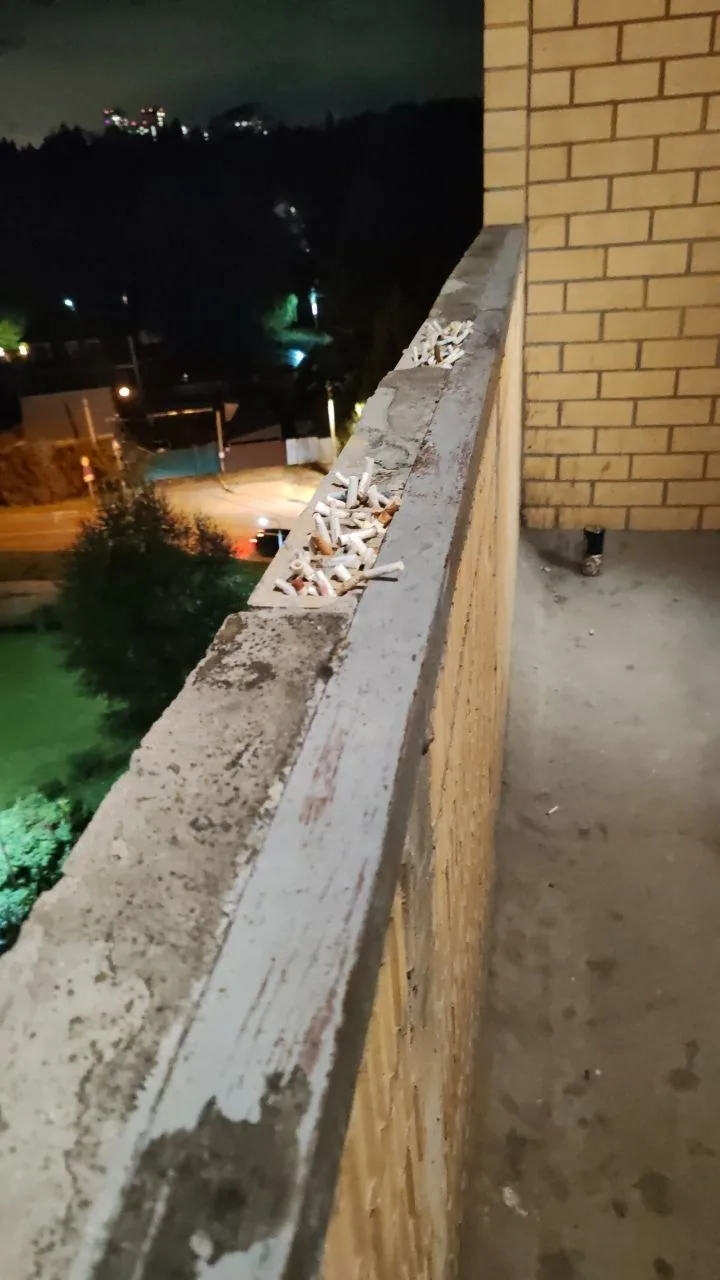 Ну и в продолжение темы "приятного" соседства. 3 корпус 2 подъезд 8 этаж. 🐷