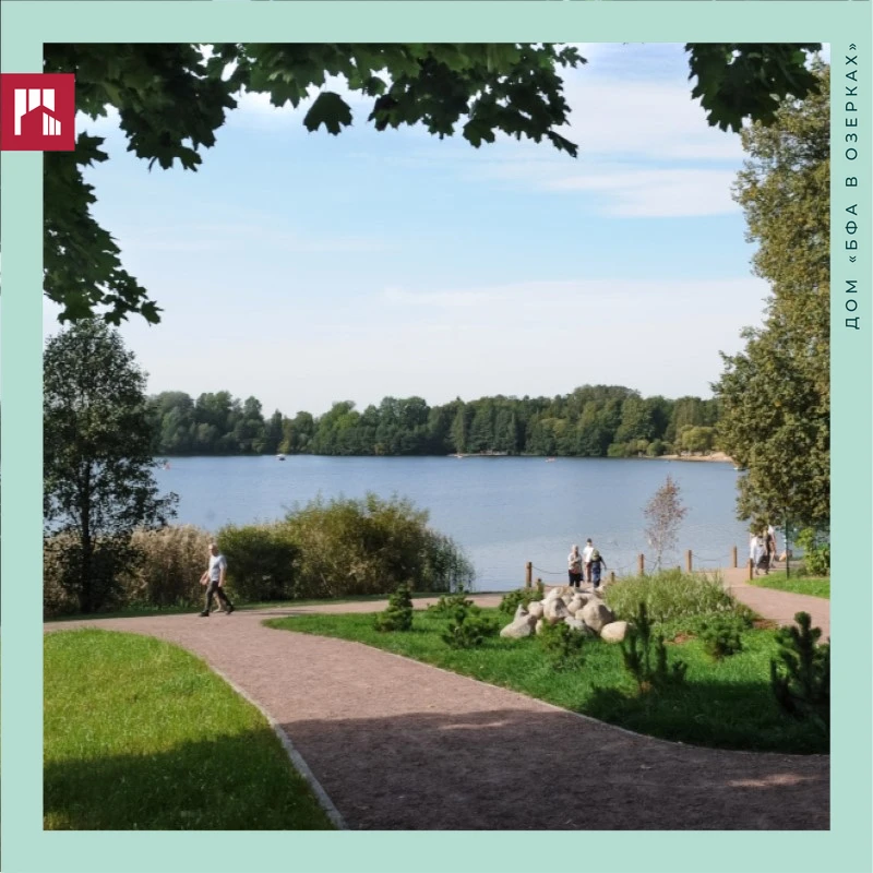Суздальские озера — локация, где каждый водоем живет по своим правилам🍃