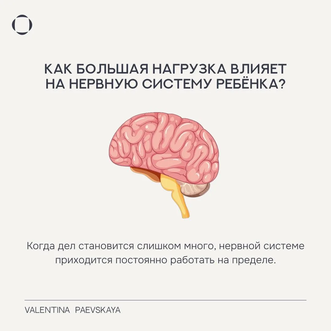 Как не перегрузить ребёнка в начале года, чтобы оценки не начали снижаться?