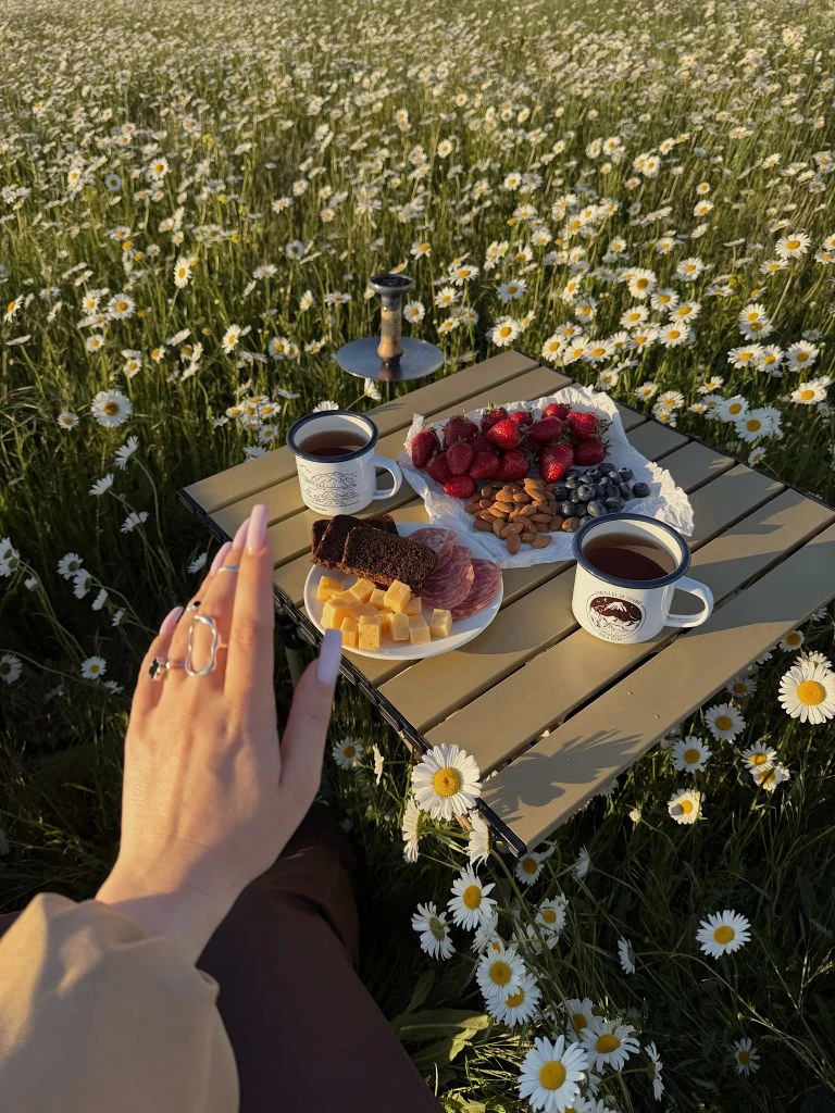 Ромашки в Крыму