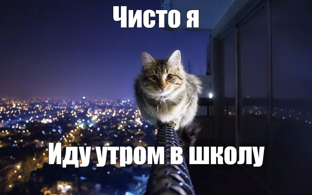 🌅 Понедельник. ГАЗУЕМ
