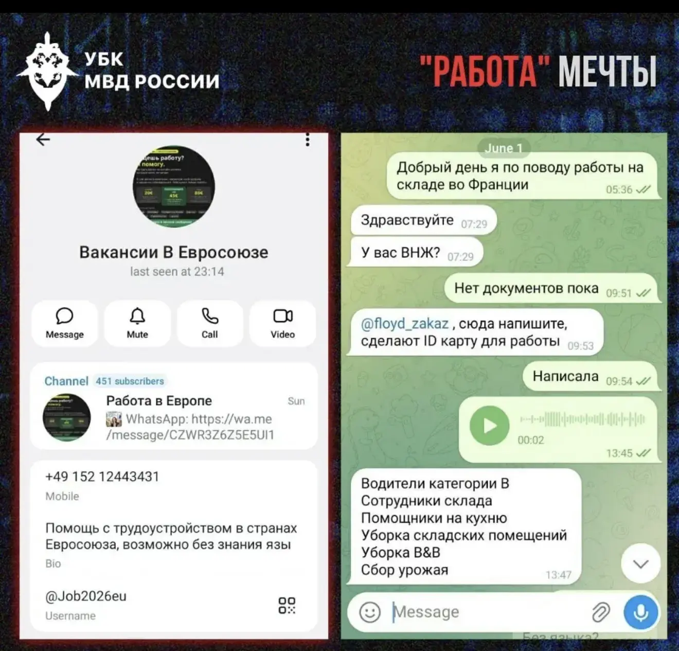 Мошенники начали предлагать «работу за рубежом».