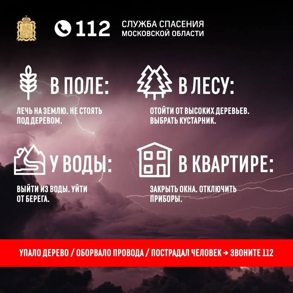 Гроза застала врасплох? ⚡️