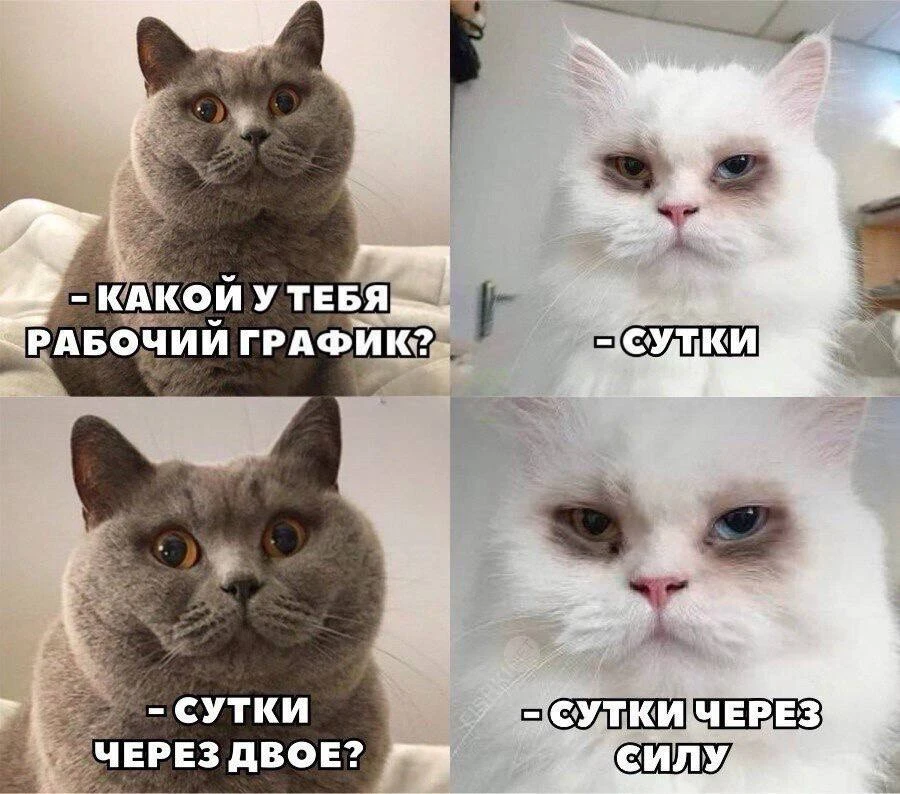 Друзья, всем доброго понедельника и продуктивной трудовой недели💪🏽🙃


#юмор