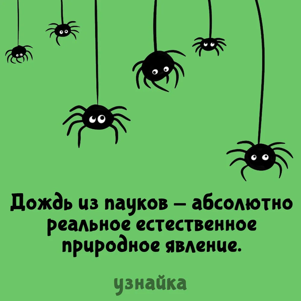 Самый страшный дождь😱
Узнайка