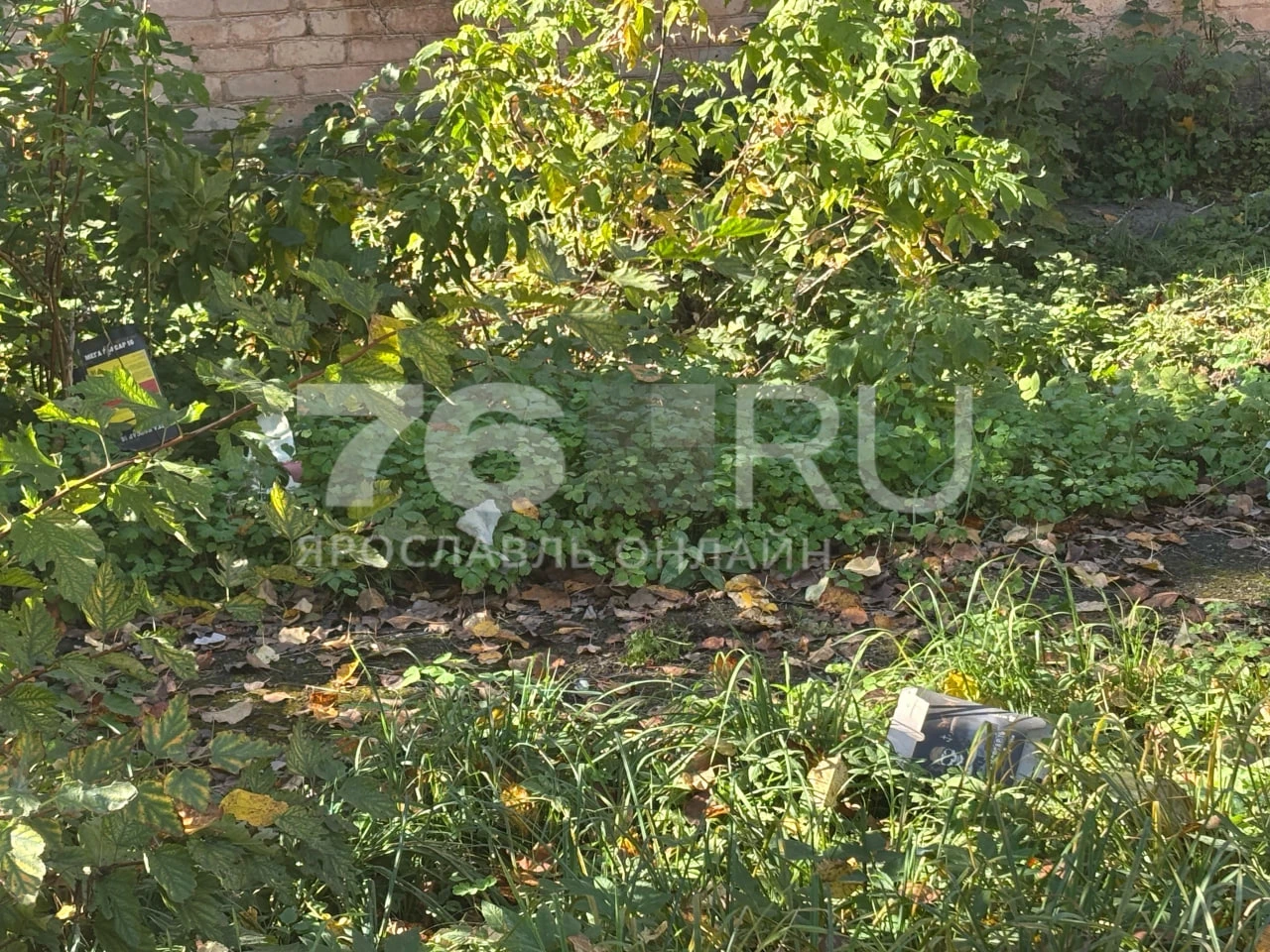 Жители Кубринска просят выдать им тела погибших родственников.